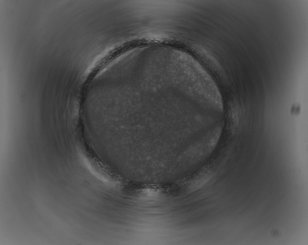 X0000110730496200906261522