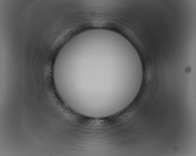 X0000110730497200906261522