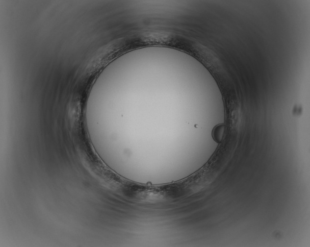 X0000110730498200906261522