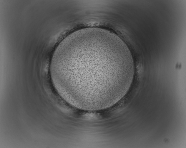 X0000110730499200906261522