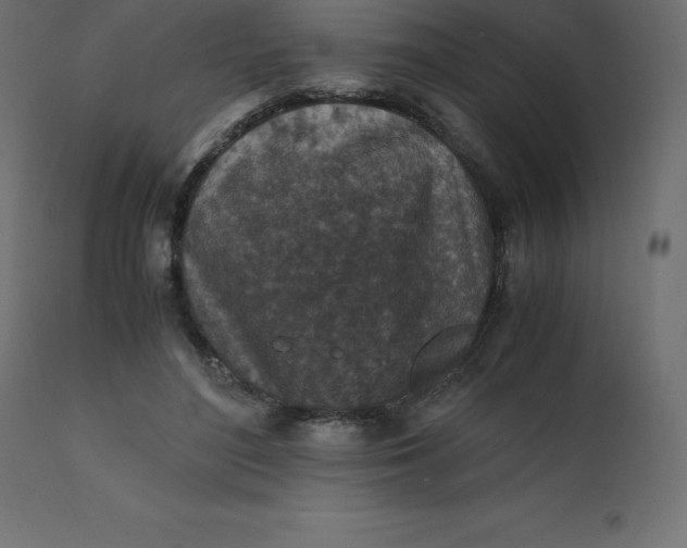 X0000110730500200906261522