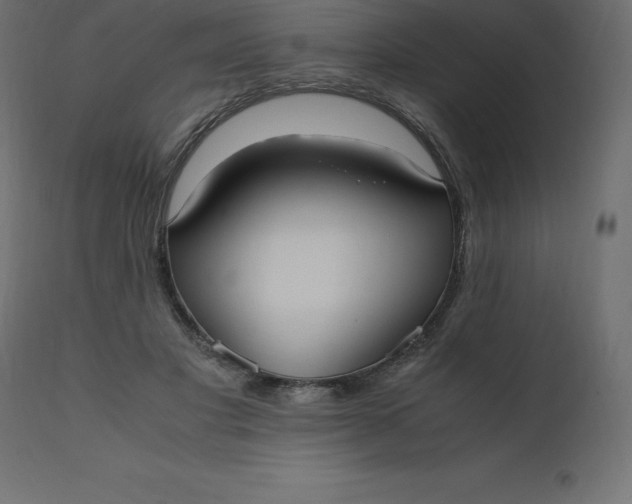 X0000110730501200906261522