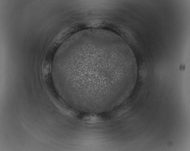 X0000110730503200906261522