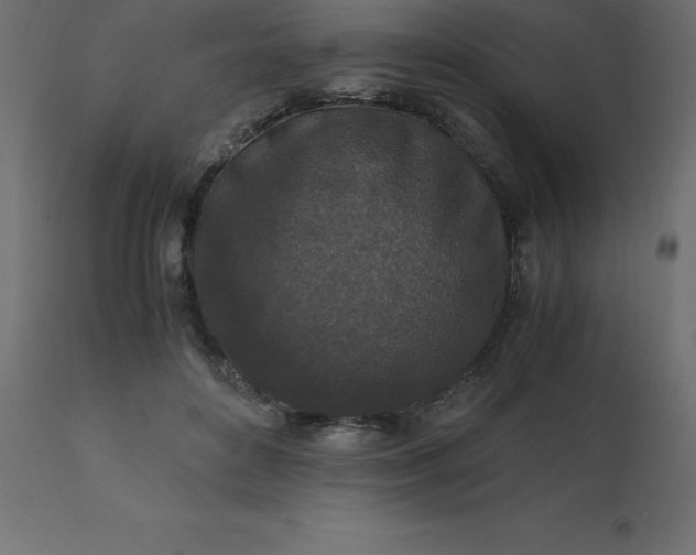 X0000110730504200906261522