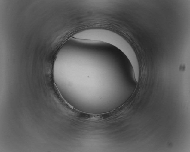 X0000110730505200906261522