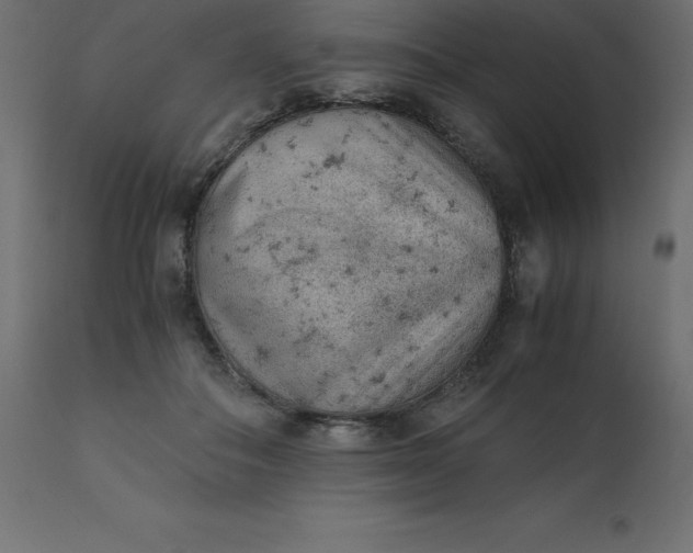 X0000110730506200906261522