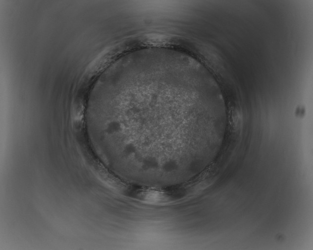 X0000110730507200906261522