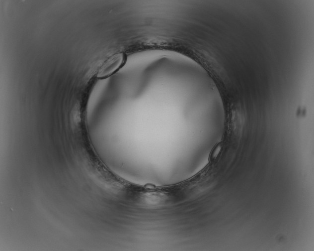 X0000110730508200906261522