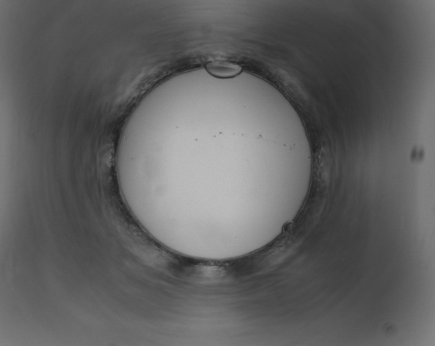 X0000110730509200906261522