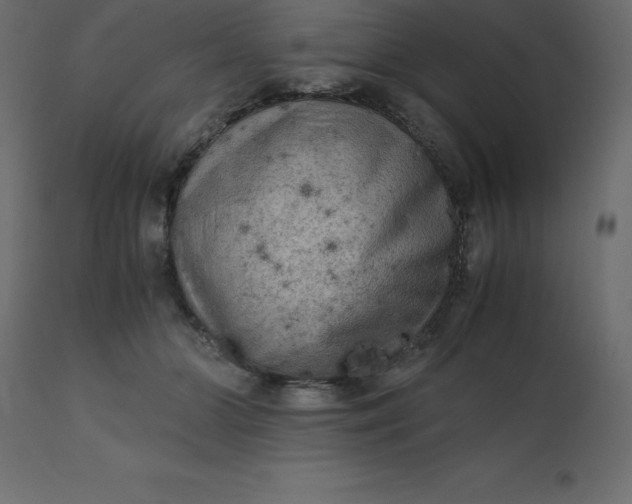 X0000110730510200906261522