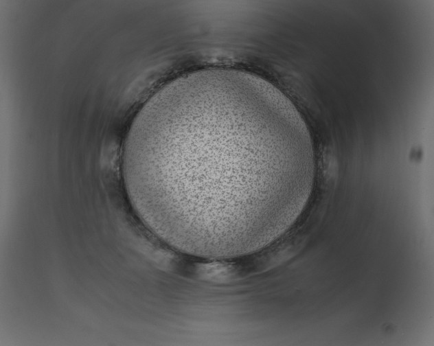 X0000110730511200906261522