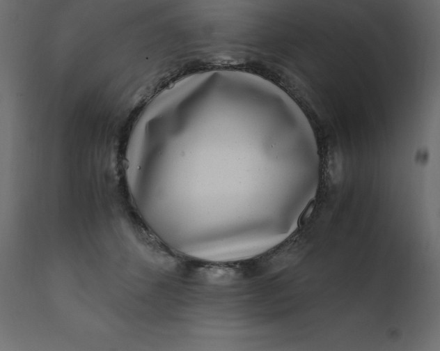 X0000110730512200906261522