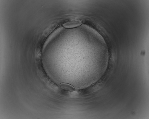 X0000110730513200906261522