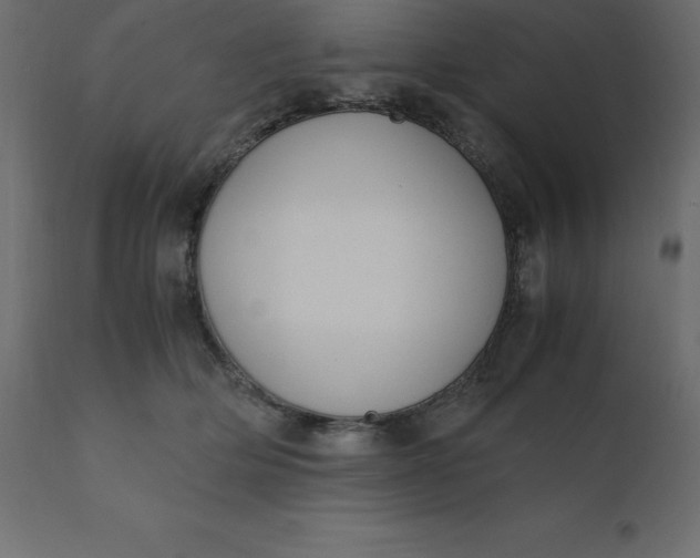 X0000110730514200906261522