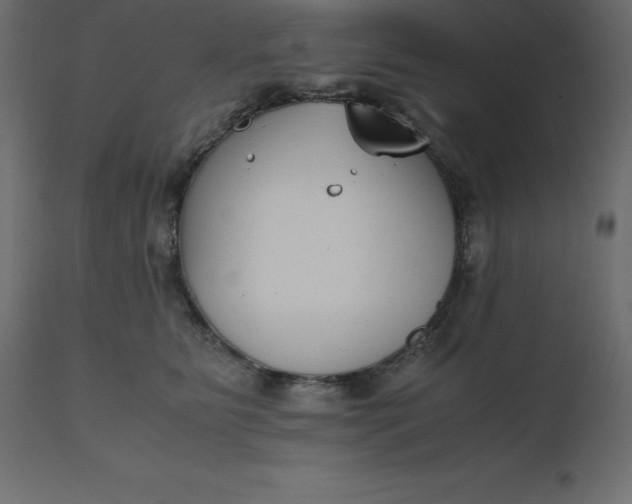 X0000110730515200906261522