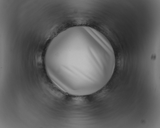 X0000110730516200906261522