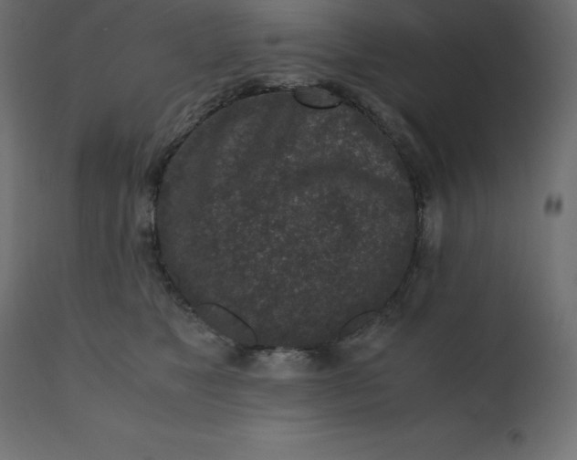 X0000110730517200906261522