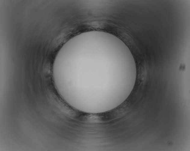 X0000110730518200906261522