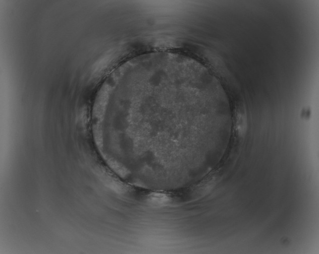 X0000110730519200906261522