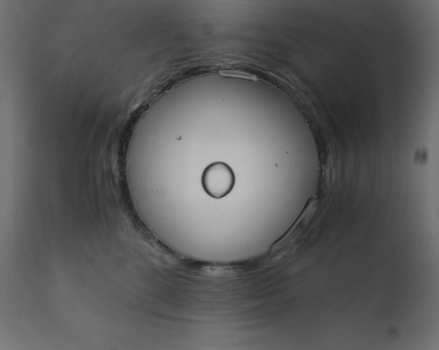 X0000110730520200906261522