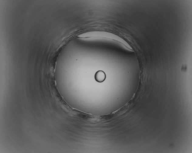 X0000110730521200906261522