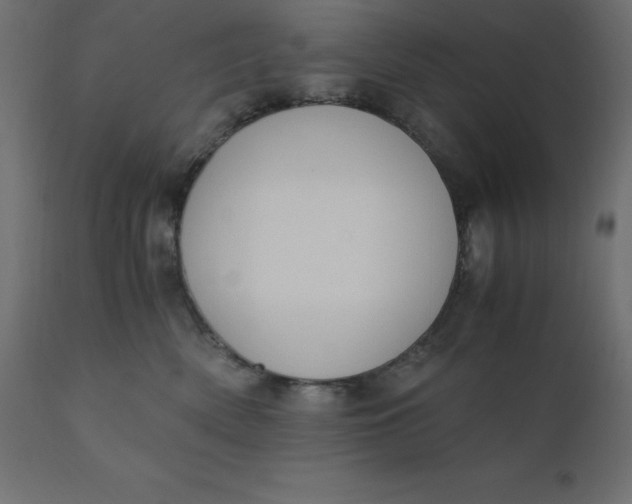 X0000110730522200906261522