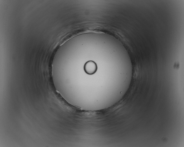 X0000110730524200906261522