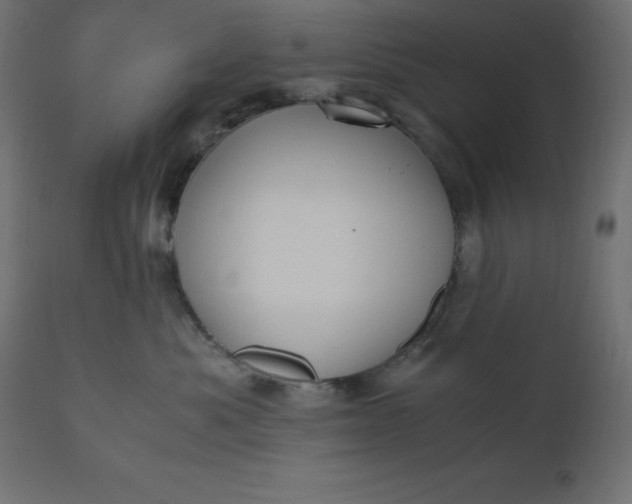 X0000110730525200906261522