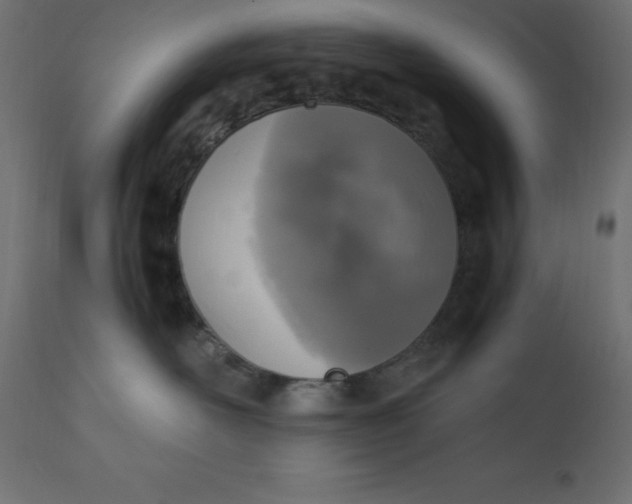 X0000110730526200906261522