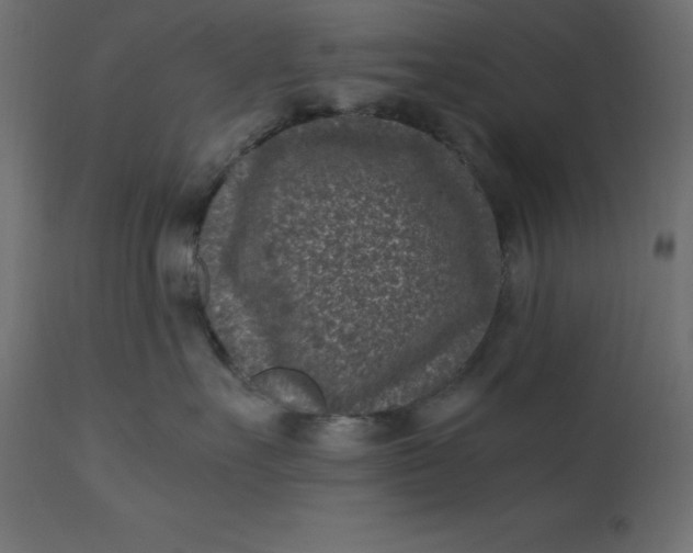 X0000110730527200906261522