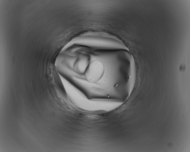 X0000110730528200906261522