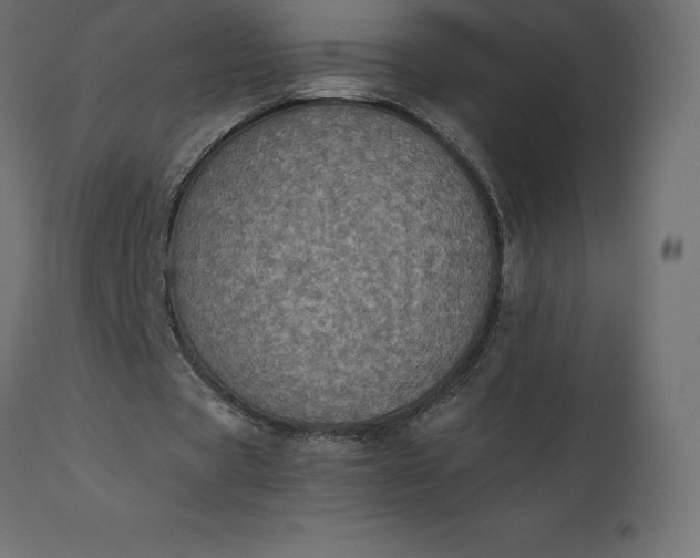 X0000110730529200906261521