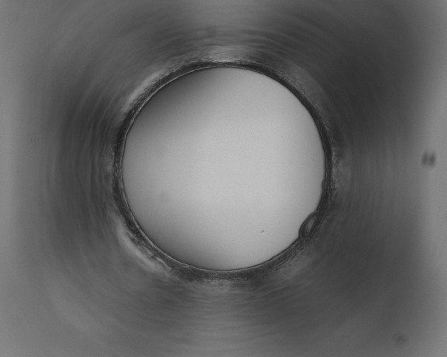 X0000110730530200906261521