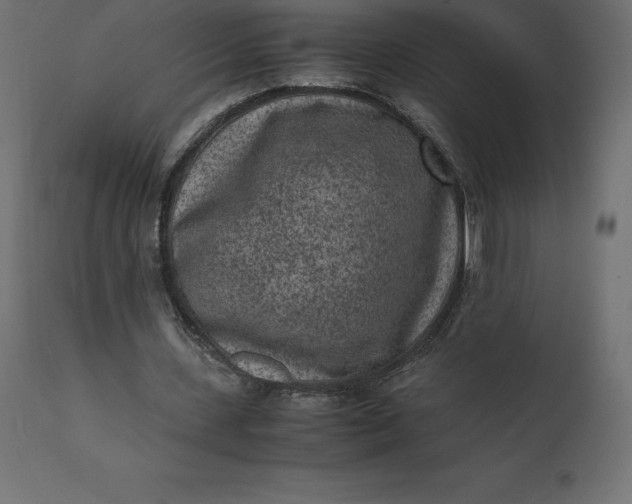 X0000110730531200906261521