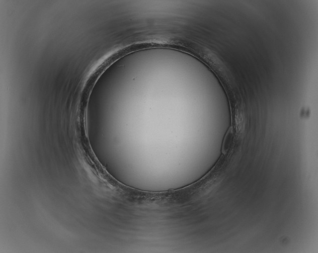 X0000110730532200906261521