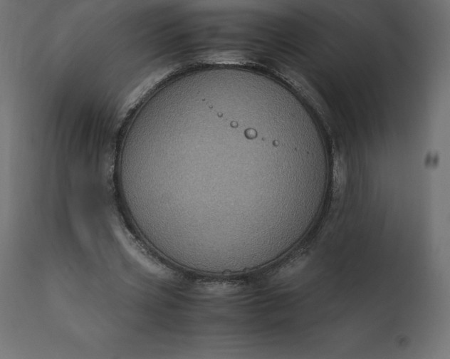 X0000110730533200906261521