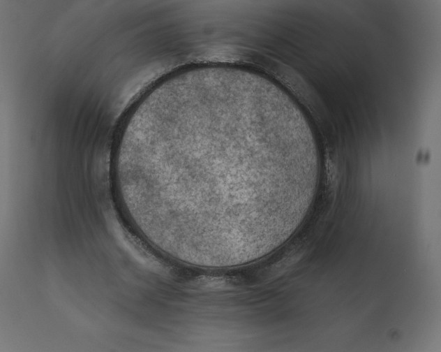 X0000110730534200906261521