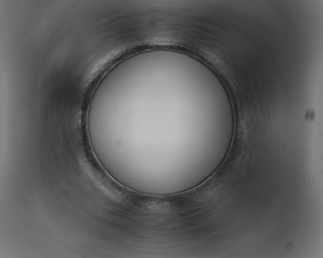 X0000110730535200906261521