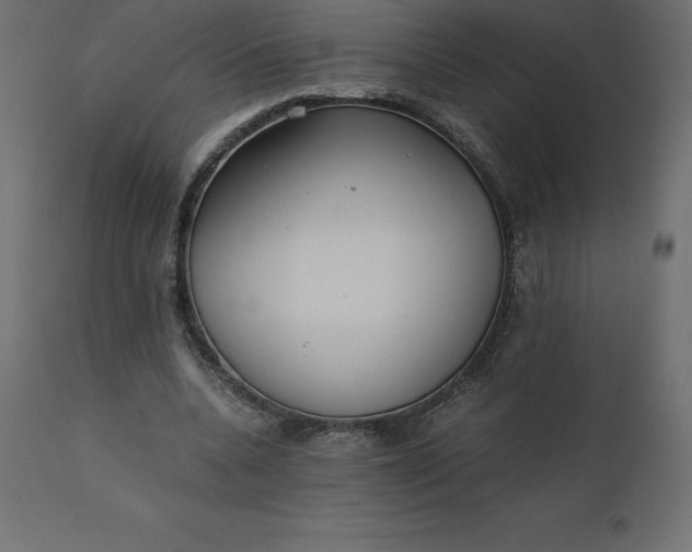 X0000110730536200906261521