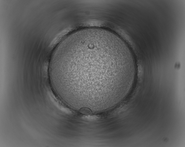 X0000110730537200906261521