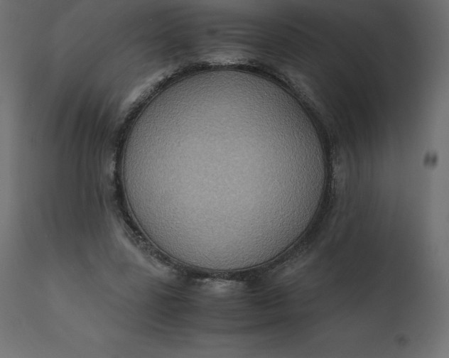 X0000110730539200906261521