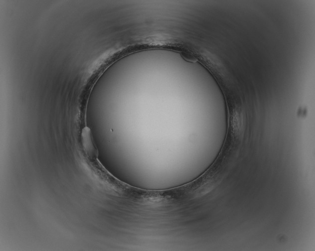 X0000110730540200906261521