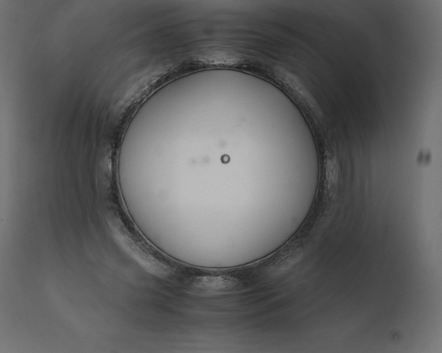 X0000110730541200906261521