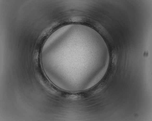 X0000110730542200906261521