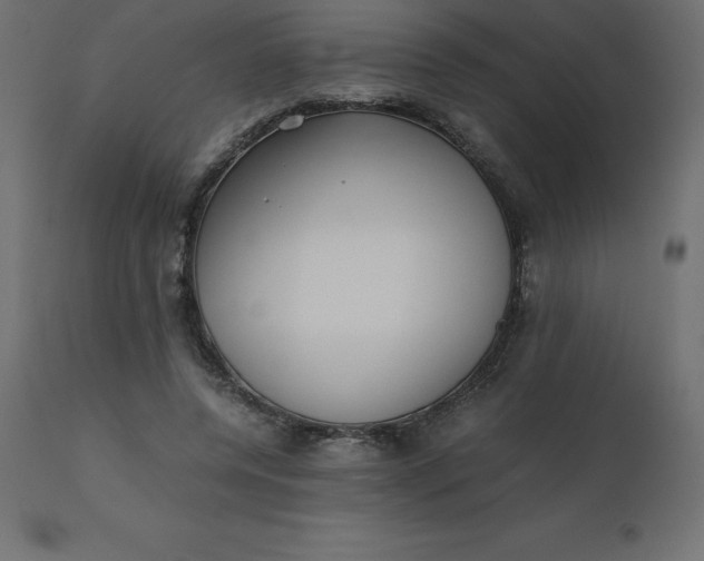 X0000110730544200906261521