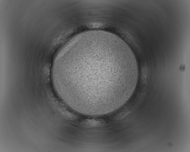 X0000110730545200906261521