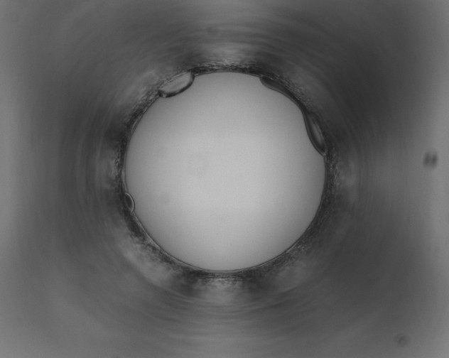 X0000110730546200906261521