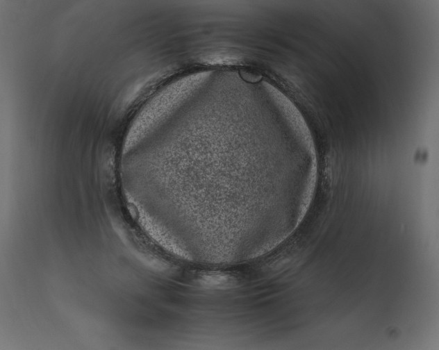 X0000110730547200906261521