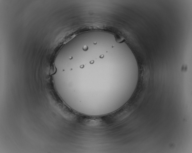 X0000110730548200906261521