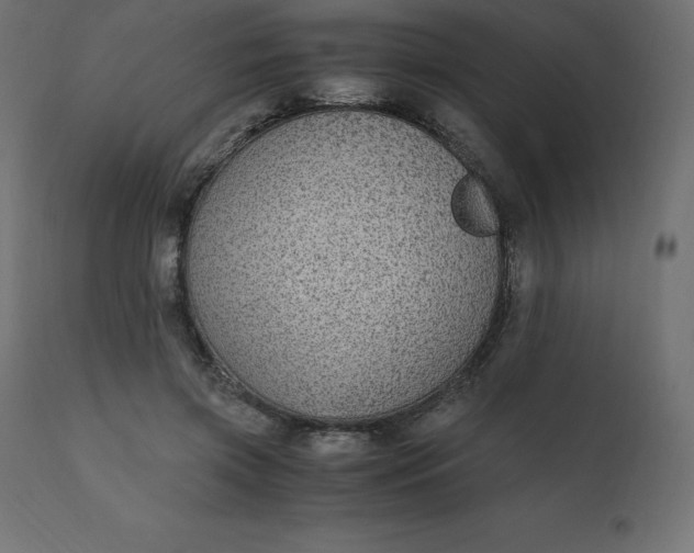 X0000110730549200906261521